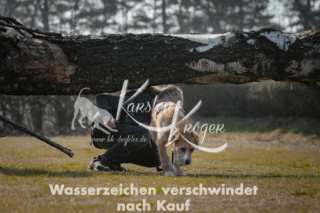 1127_ZZ95208 | kk-dogfotos