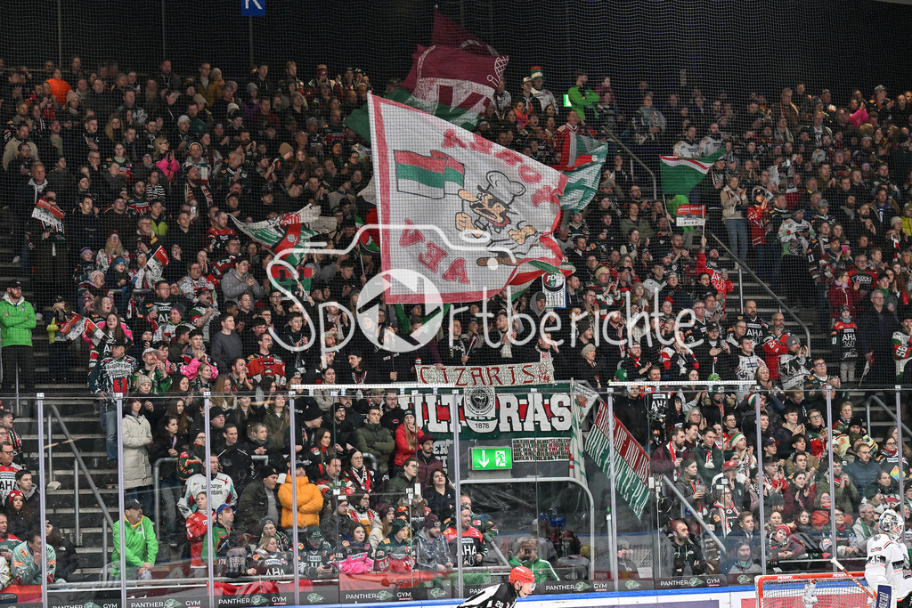 Augsburger Panther - Löwen Frankfurt  | Fans der Panther / DEL: Augsburger Panther - Loewen Frankfurt, Curt Frenzel Stadion am 12.01.2025