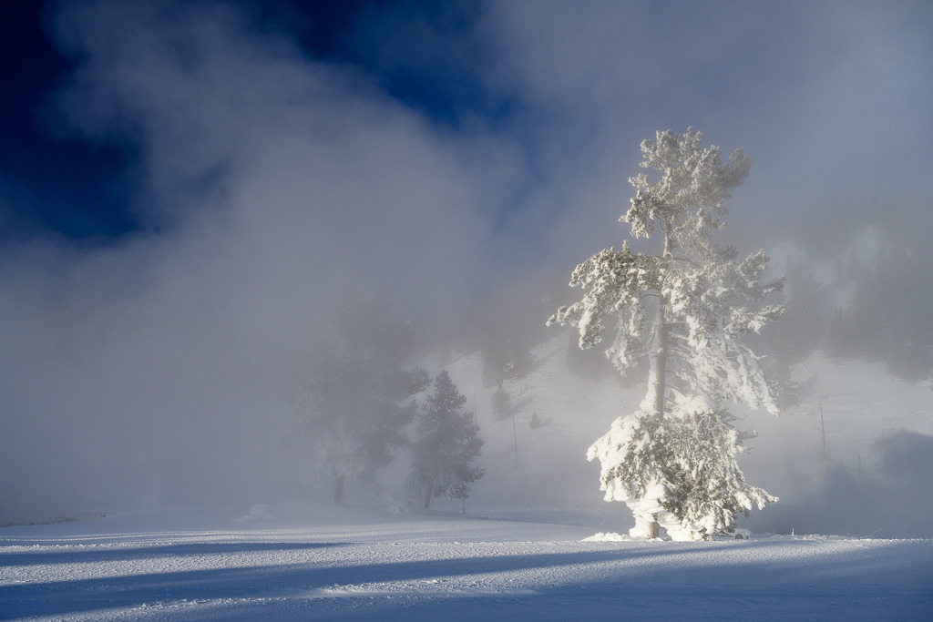 2024-141 | Sonnenaufgang am Firehole River. - Realisiert mit Pictrs.com
