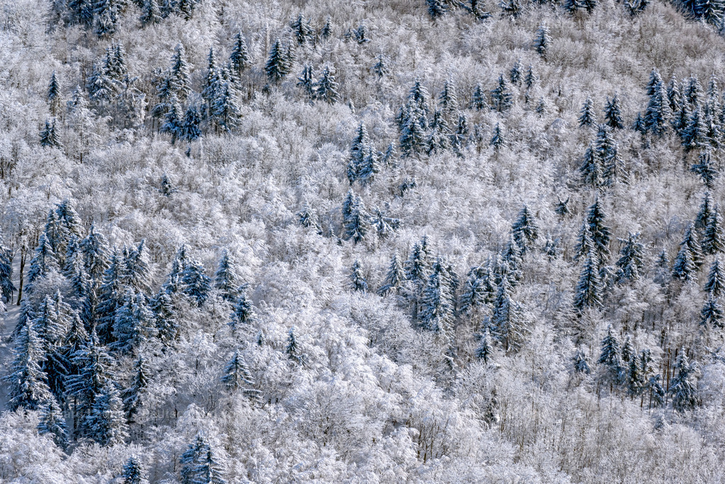 4043377 | winterliche Baumstrukturen in der Rhön