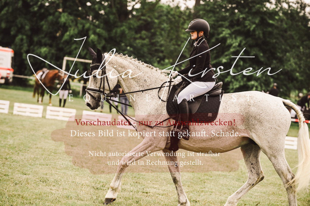 DSC_4973 | Pferde- und Turnierfotografie in Westsachsen. Pferdeportraits, Auftragszeichnungen und intuitive Kunst.