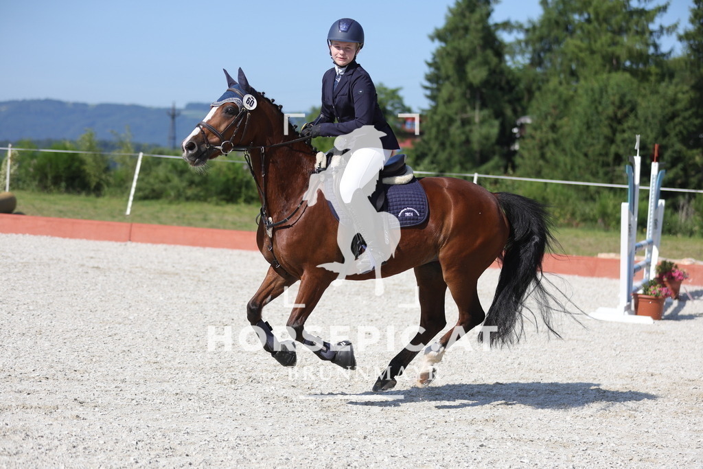 0P6A7552 | Willkommen bei Brunnmayr - Design & Fotografie – Ihrem Spezialisten für Reitturniere und Pferdeveranstaltungen in Oberösterreich, Salzburg und Bayern! Seit über 17 Jahren sind wir leidenschaftlich dabei.