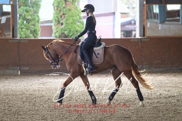 DKP42595 | Turniersportfotografie; Pferdefotografie; Dressurfotografie