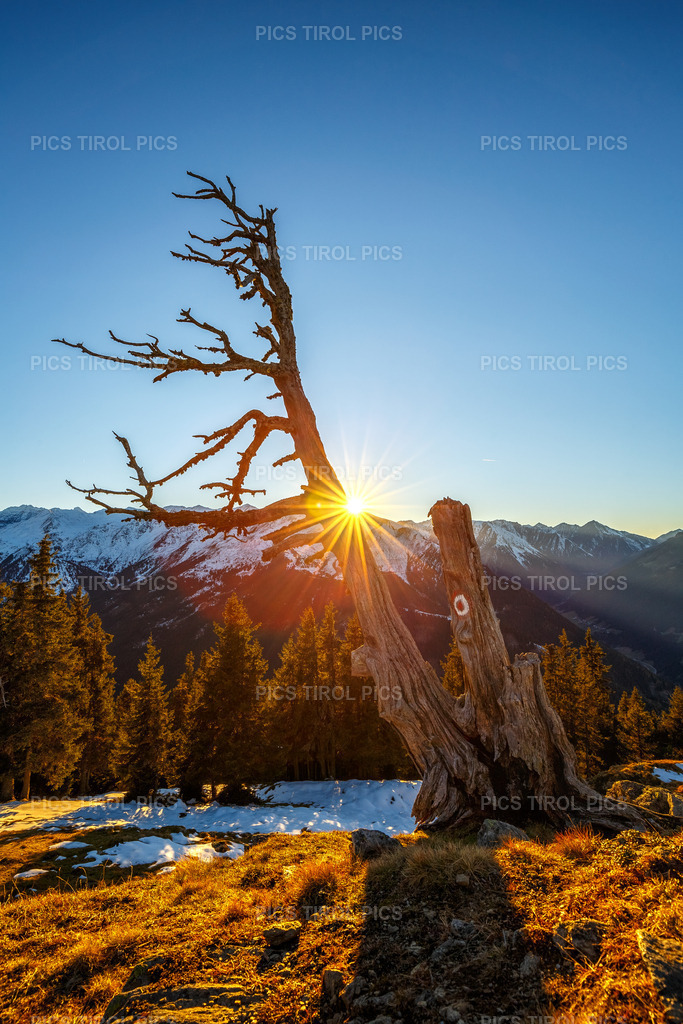 IMG_2876-HDR-Bearbeitet-3 | Tirolpics