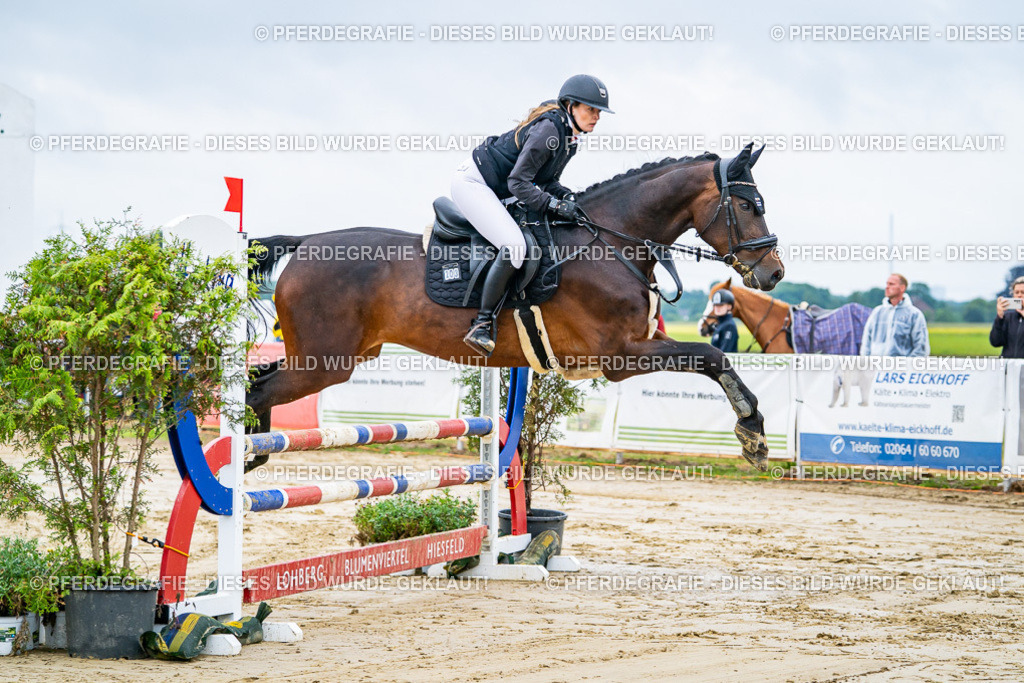 DSC01951 | Pferdegrafie