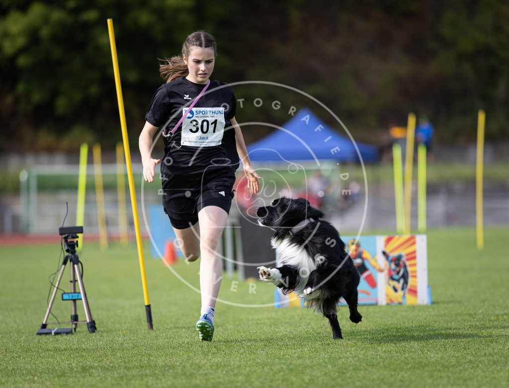 Pfotenfotografie_DV3A1168 | Hundefotografie, Tierfotograf, Pfotenfotografie, Fotoshooting Hund, Hunde Portrait, Hundesport, Hundeportraits, Heideshooting, Hunde, Sportfotograf, Hundefotograf, Turnierhundsport, THS,  - Realisiert mit Pictrs.com