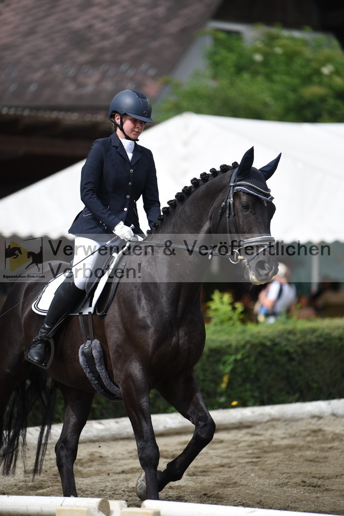 DSC_3959 | equestrian-live-com