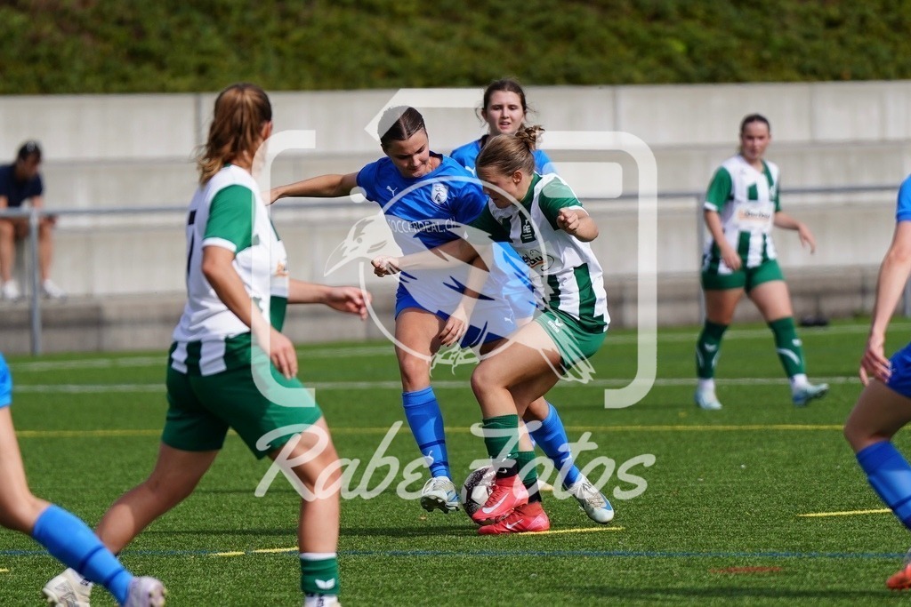 SON06110 | rabefotos