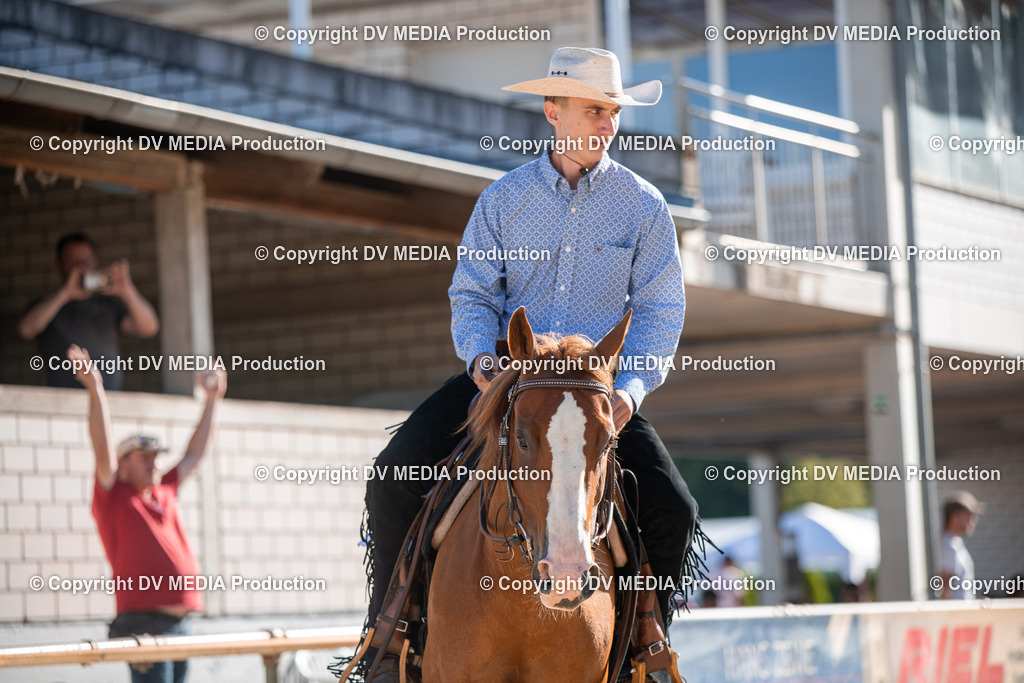 EWP_7066 | dv-media-shop - Realisiert mit Pictrs.com