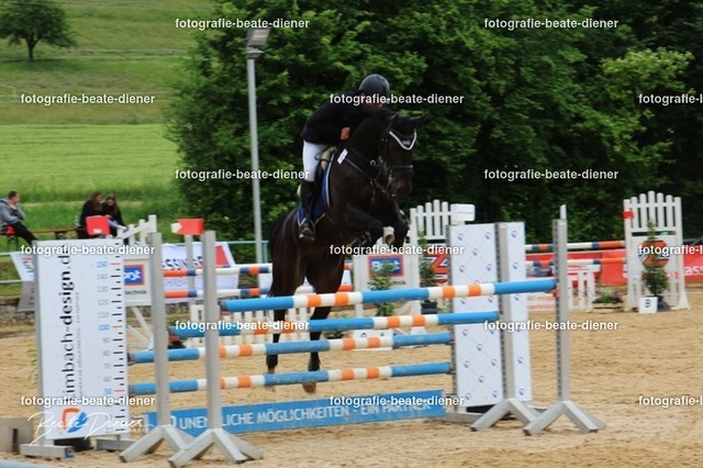 OHT0151 | Fotografie, Tiere, Hunde, Katzen, Pferde, Sportfotografie, Fotosession, Tierfotografie, Turnierfotografie, Fotografin, Fotograf - Realisiert mit Pictrs.com