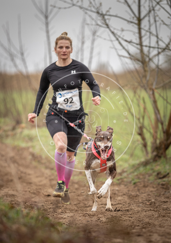 DV3A0013 | Hundefotografie, Tierfotograf, Pfotenfotografie, Fotoshooting Hund, Hunde Portrait, Hundesport, Hundeportraits, Heideshooting, Hunde, Sportfotograf, Hundefotograf, Turnierhundsport, THS,  - Realisiert mit Pictrs.com
