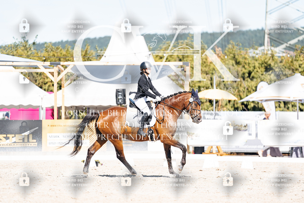 CK908747 | Turnierfotografie Pferdefotografie Trier Rheinland-Pfalz Pferdesport Reitsport Tierfotografie Sportfotografie Pferdevideo Pferdevideografie Equestrianvideography equestrianphotography  - Realisiert mit Pictrs.com