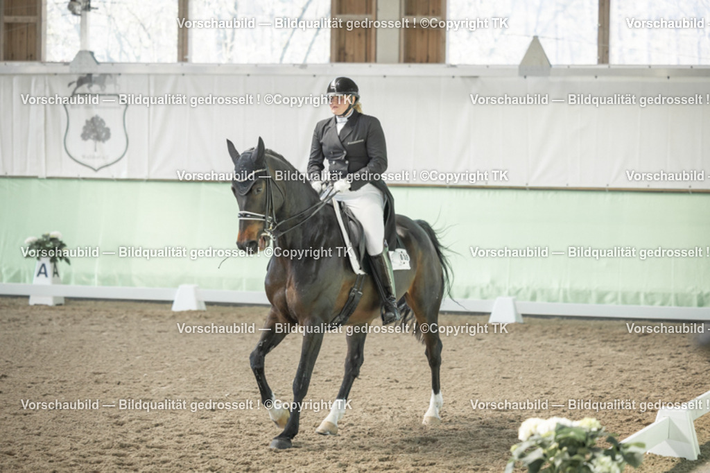 _D5A1923 | Emotionale Pferde- & People-Fotografie rund um Heidelberg, Leimen & Umgebung. Natürliche Fotos von Pferd, Mensch & Familie. Jetzt Termin sichern!