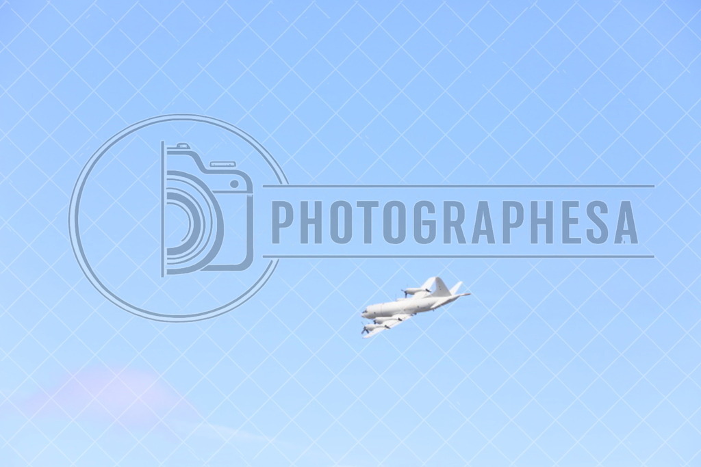IMG_8811 | photographesa-joergens - Realisiert mit Pictrs.com