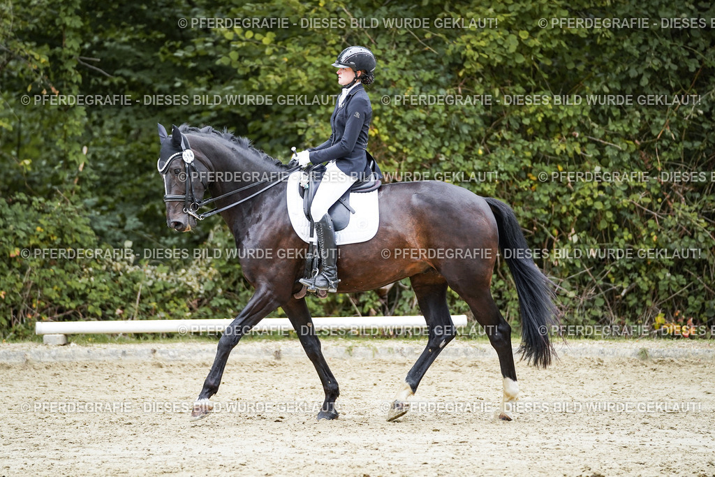 DSC01222 | Pferdegrafie