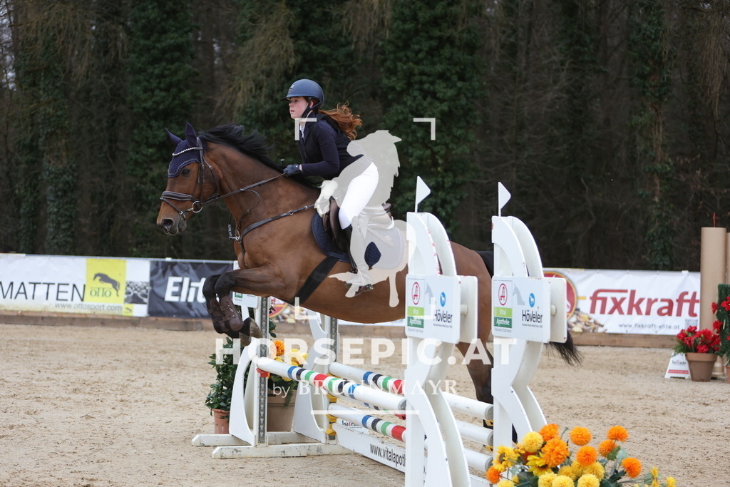 0P6A4414 | Willkommen bei Brunnmayr - Design & Fotografie – Ihrem Spezialisten für Reitturniere und Pferdeveranstaltungen in Oberösterreich, Salzburg und Bayern! Seit über 17 Jahren sind wir leidenschaftlich dabei.