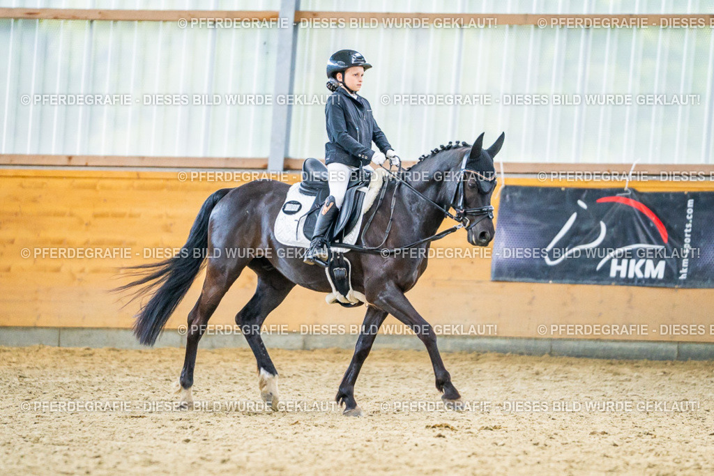 DSC04680 | Pferdegrafie