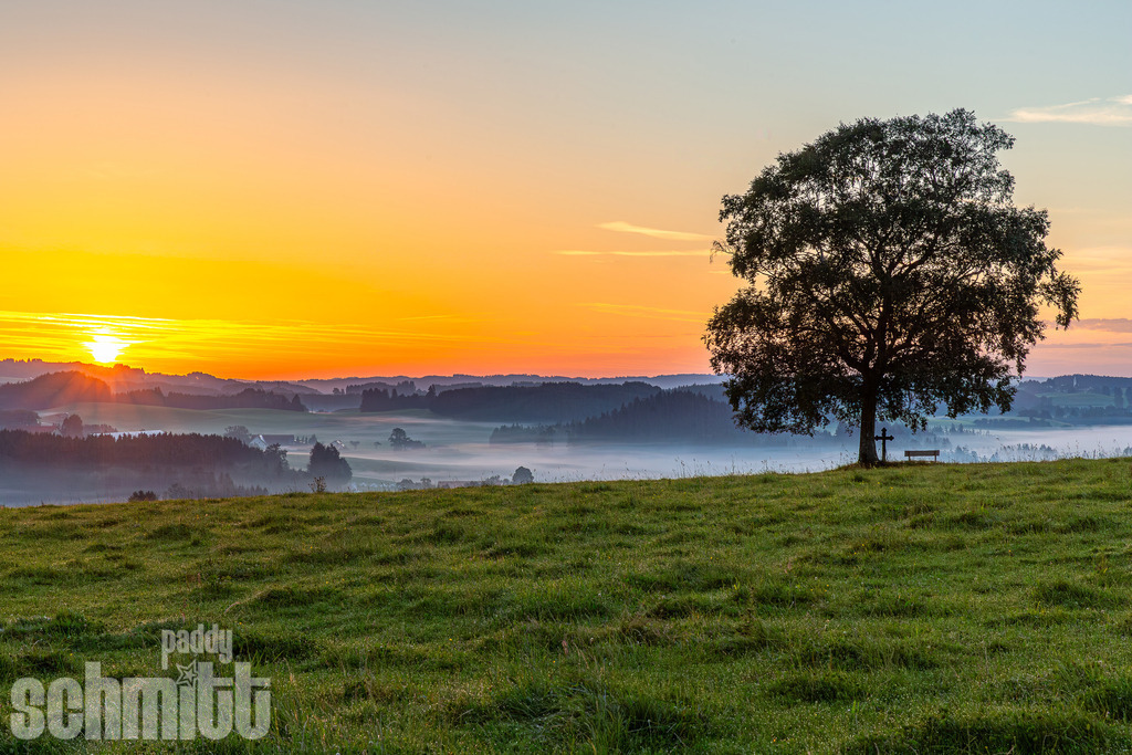 PS-Oberschwaben-2026-16 | Entdecke die größte Bildgalerie der Region mit Fotografien aus dem Allgäu, der Bodenseeregion, Oberschwaben, dem Donautal und der Schwäbischen Alb. Landschaften, Luftaufnahmen und Reisefotografie als Wandbild und Fotokunst. - Realisiert mit Pictrs.com
