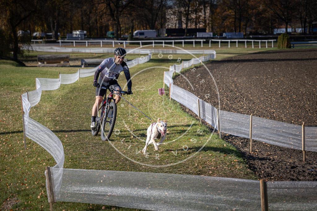 CaniXpix_DV3A5556 | Hundefotografie, Tierfotograf, Pfotenfotografie, Fotoshooting Hund, Hunde Portrait, Hundesport, Hundeportraits, Heideshooting, Hunde, Sportfotograf, Hundefotograf, Turnierhundsport, THS,  - Realisiert mit Pictrs.com