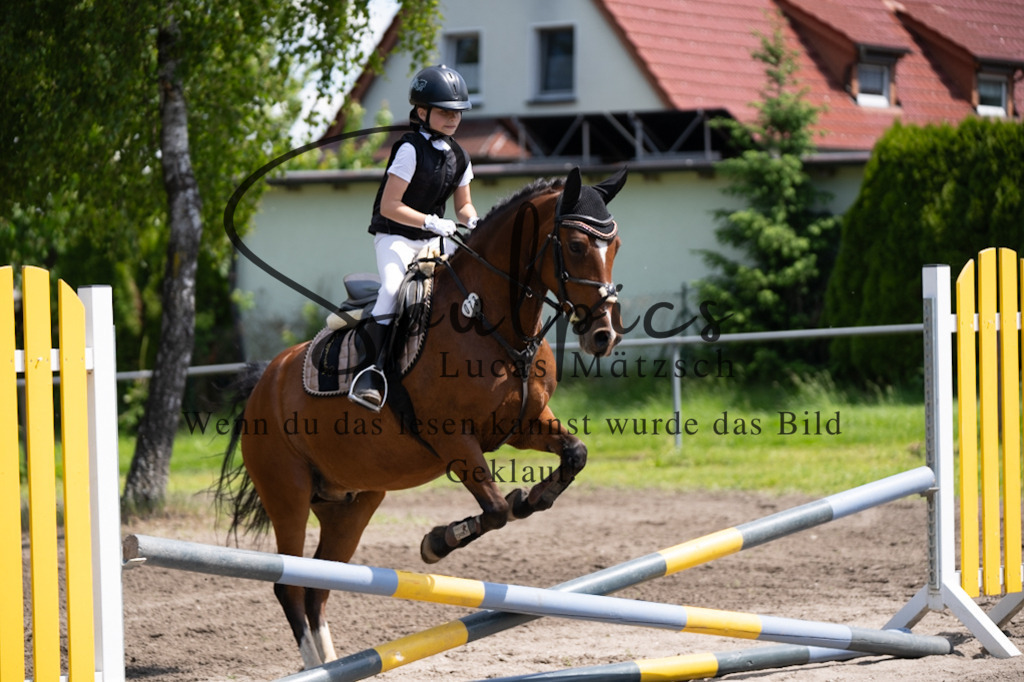 A7V03070 | Pferdefotograf