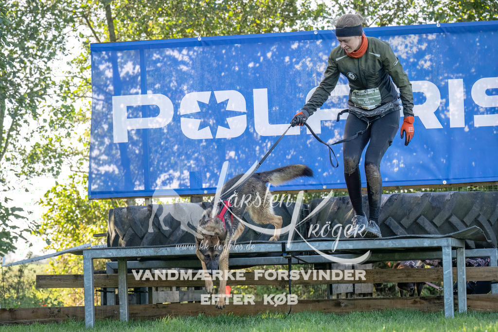 1048- | kk-dogfotos