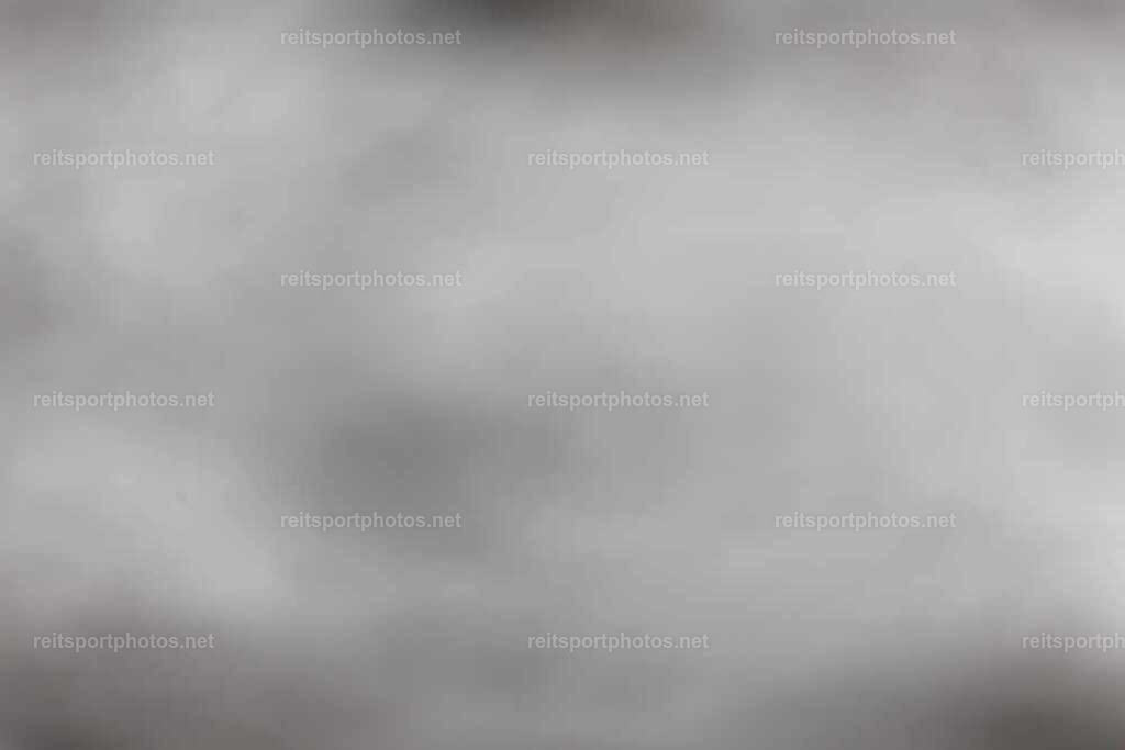 JoYaR3_Heidehof_00406 | JoYa Fotografie - Realisiert mit Pictrs.com