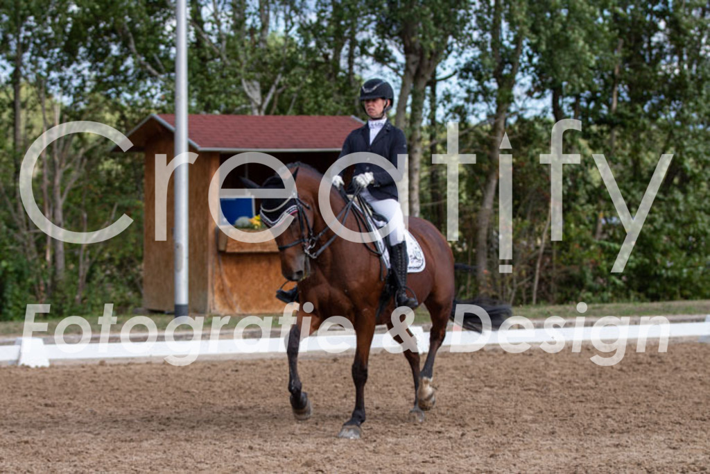 IMG_5337 | Creatify Fotografie