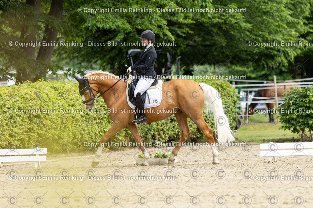 CL5A0091 | Emilia Reinking Fotografie - Realisiert mit Pictrs.com