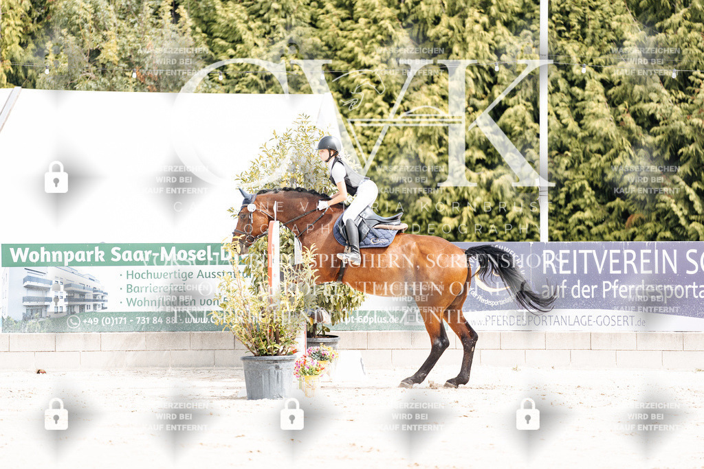 CK906284 | Turnierfotografie Pferdefotografie Trier Rheinland-Pfalz Pferdesport Reitsport Tierfotografie Sportfotografie Pferdevideo Pferdevideografie Equestrianvideography equestrianphotography  - Realisiert mit Pictrs.com