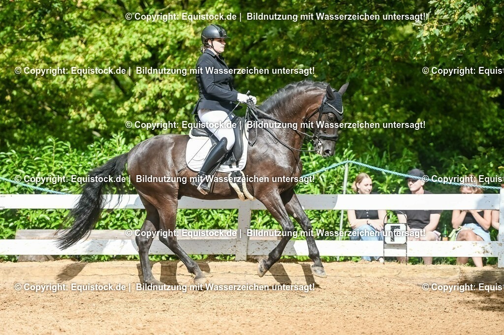 20230716_01_Dressurprüfung Kl.M_0593 | equistock