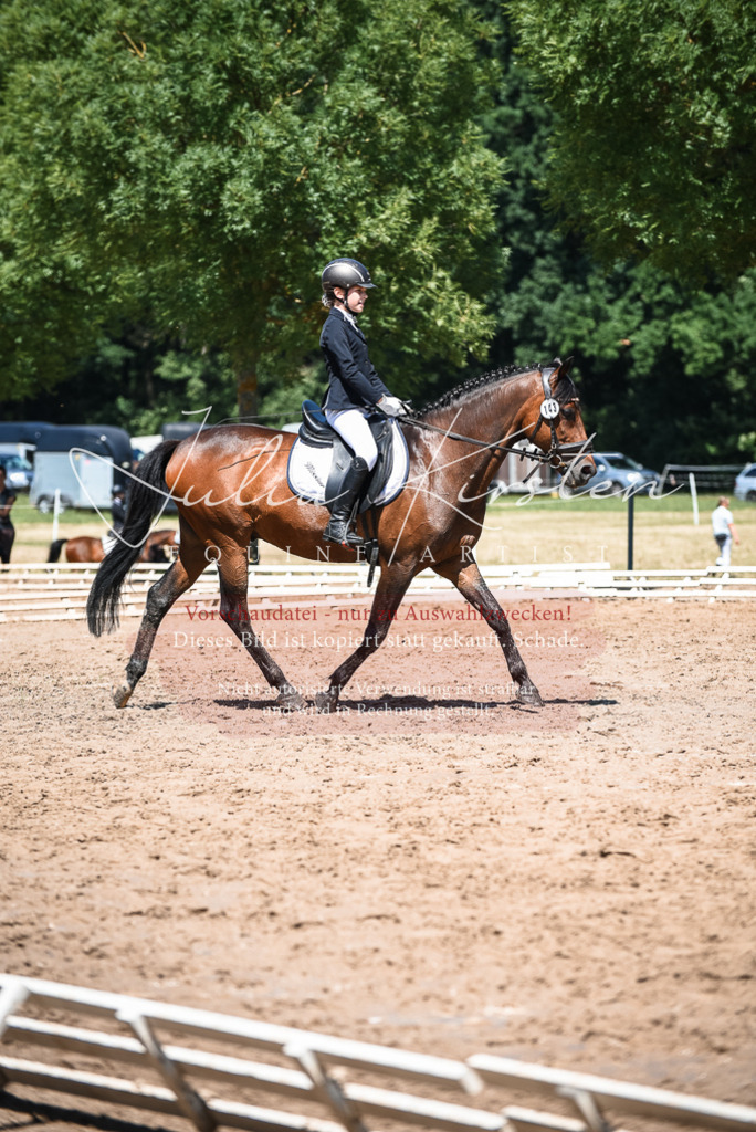 DSC_2862 | Pferde- und Turnierfotografie in Westsachsen. Pferdeportraits, Auftragszeichnungen und intuitive Kunst.