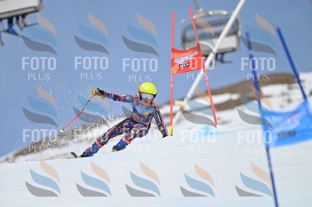 BGV_2540 | holidayphoto