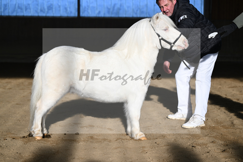 Kat-Nr. 14 Elmhorst Irish Cream v. Elmhorst Irish Coffee_Elmer_49250612 | hf-fotografie - Realisiert mit Pictrs.com