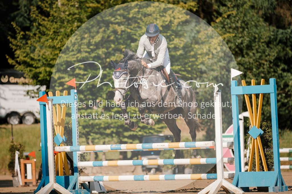 3I6A6306 | Stimmungsvolle Portraits und Reitsportfotografie im Ruhrgebiet und im Münsterland.

Pferdefotografie, Hundefotografie, Tierfotografie, Reportagen, Portraits von Tier und Mensch, Turnierfotografie in Bochum, Recklinghausen, Marl, Haltern am See, Dülmen.. - Realisiert mit Pictrs.com
