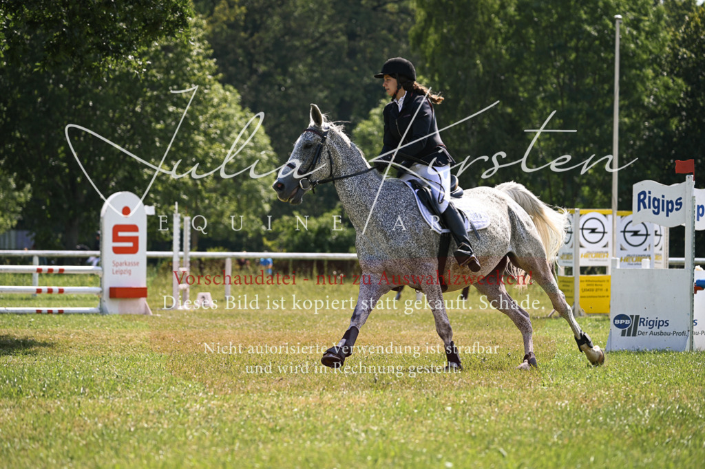 DSC_8988 | Pferde- und Turnierfotografie in Westsachsen. Pferdeportraits, Auftragszeichnungen und intuitive Kunst.