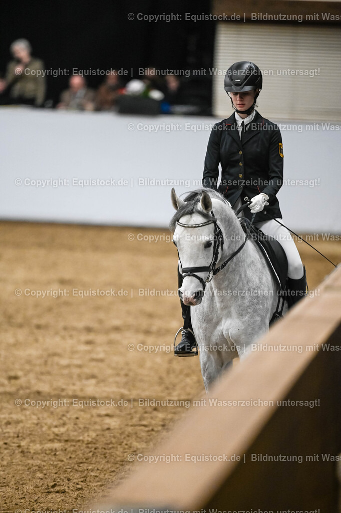 20260307_Hengstvorstellung-Marbach_0422 | equistock