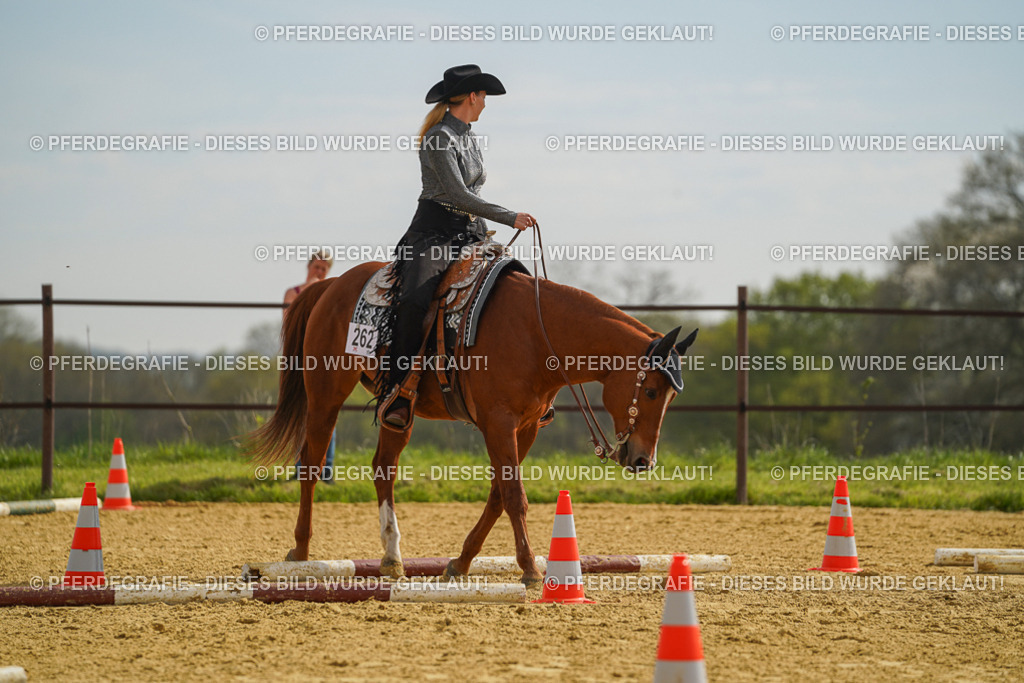 DSC01949 | Pferdegrafie