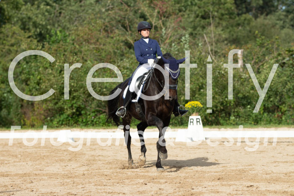 IMG_4377 | Creatify Fotografie