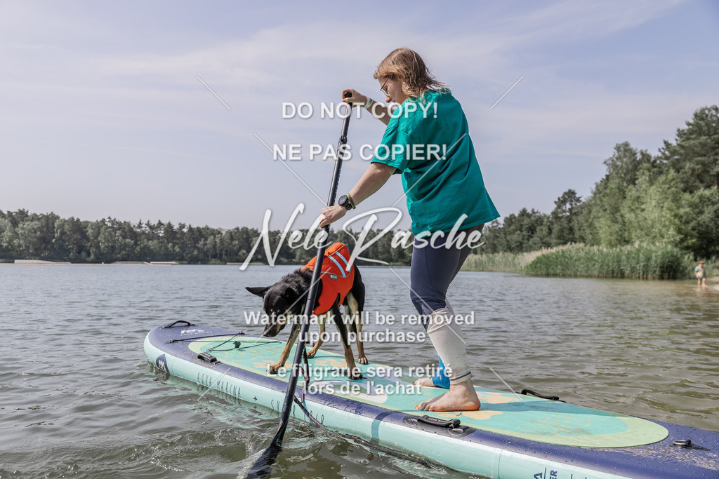 BUHU_SUP_545 | nelerasche