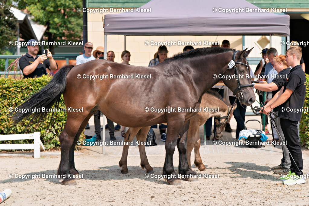 2A900173-2 | foto-team-bernhard - Realisiert mit Pictrs.com