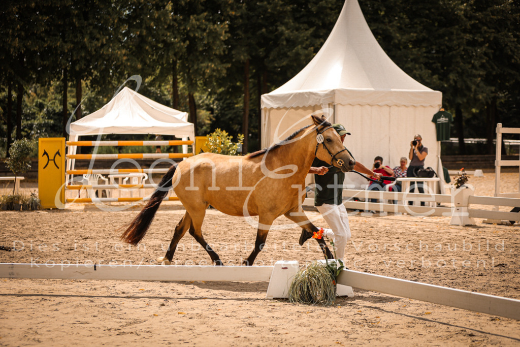 04.So00067 | Leoni Ertmer Photography - Realisiert mit Pictrs.com