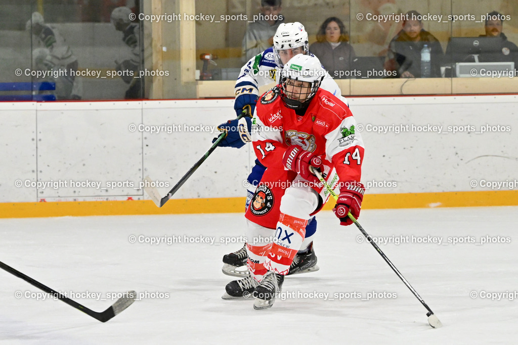 ESV Ferlach vs. UECR Eisbären Huben | #14 Kraßnigg Florian ESV Ferlach, ESV Ferlach vs. UECR Eisbären Huben, ESV Ferlach vs. UECR Eisbären Huben am 31.10.2025 in Ferlach (HTC Eishalle Ferlach), Austria, (Photo by Bernd Stefan)