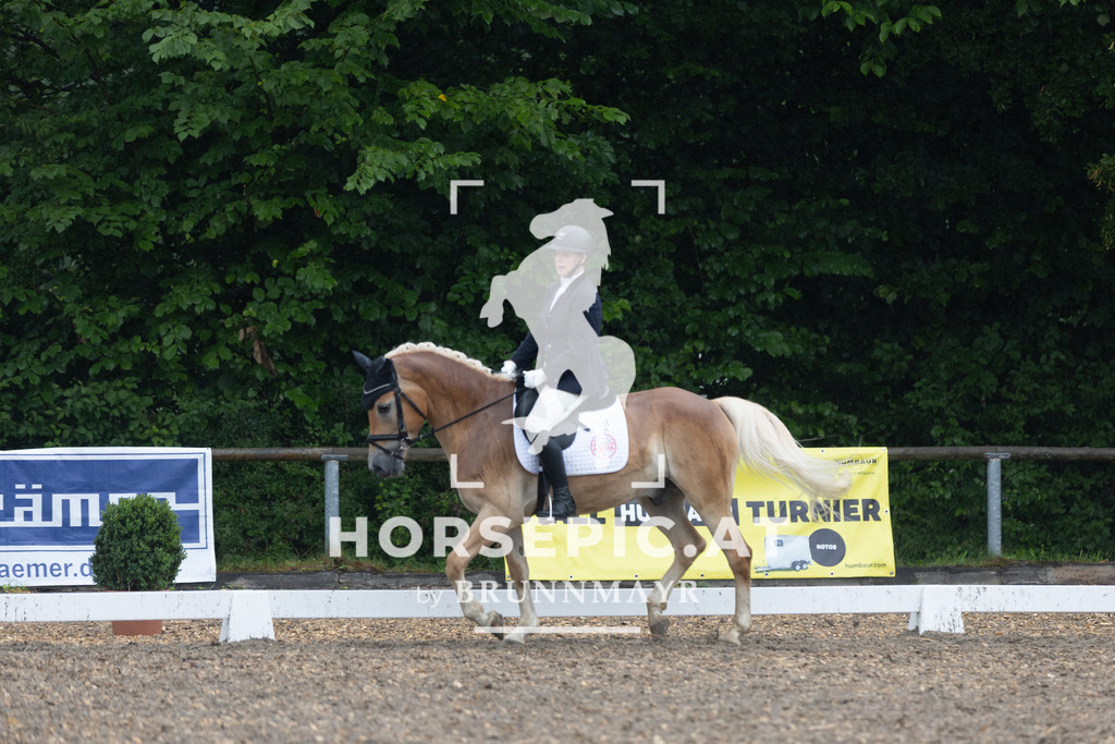 0P6A7799 | Willkommen bei Brunnmayr - Design & Fotografie – Ihrem Spezialisten für Reitturniere und Pferdeveranstaltungen in Oberösterreich, Salzburg und Bayern! Seit über 17 Jahren sind wir leidenschaftlich dabei.