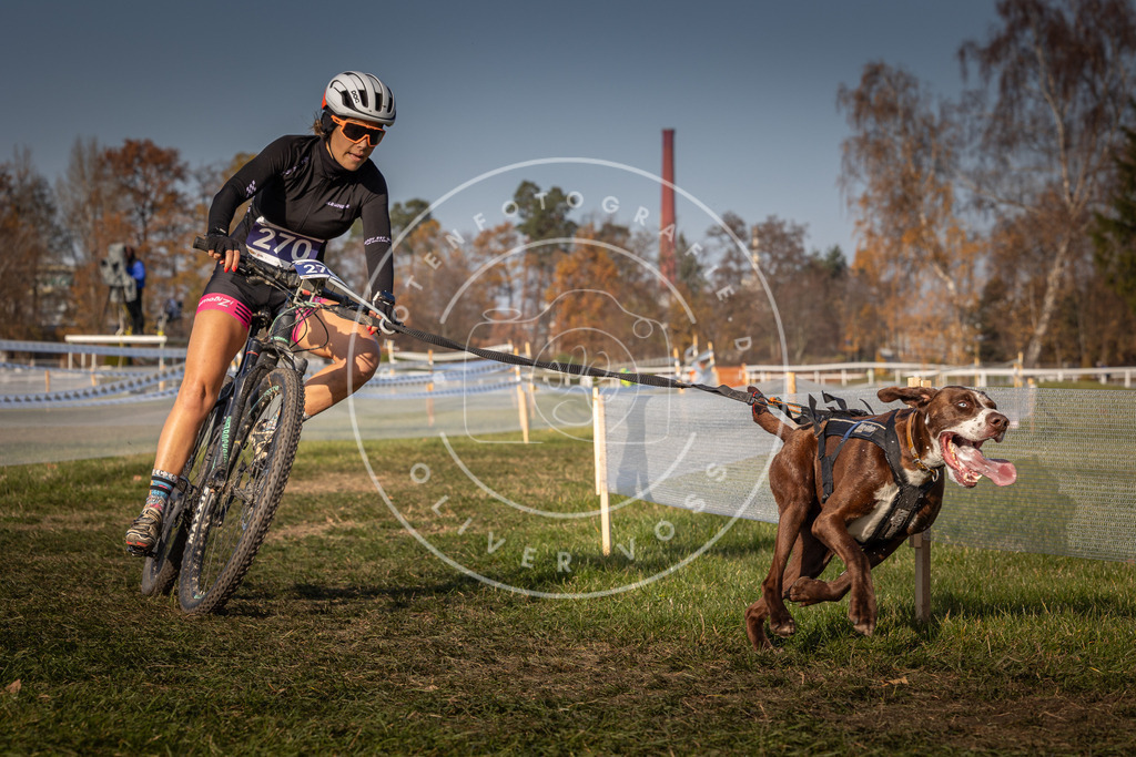 CaniXpix_0L8A7785 | Hundefotografie, Tierfotograf, Pfotenfotografie, Fotoshooting Hund, Hunde Portrait, Hundesport, Hundeportraits, Heideshooting, Hunde, Sportfotograf, Hundefotograf, Turnierhundsport, THS,  - Realisiert mit Pictrs.com
