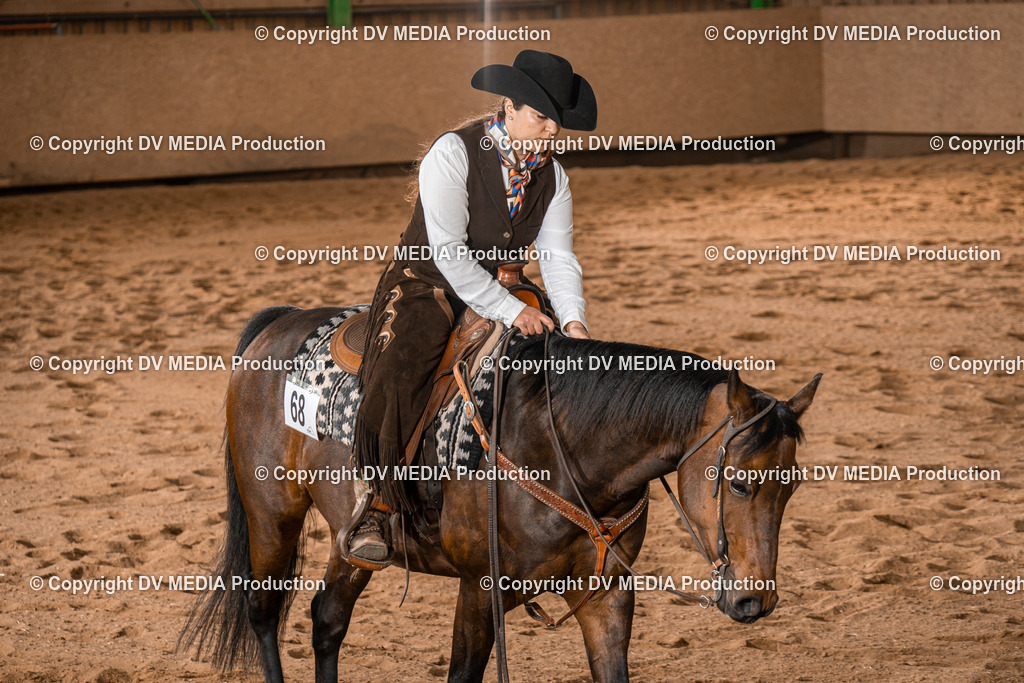 BA400803 | dv-media-shop - Realisiert mit Pictrs.com