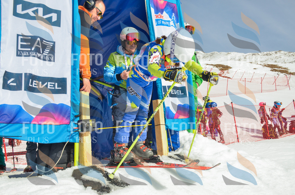 _ELE4649 | holidayphoto