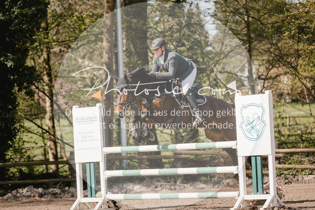 3I6A3982 | Stimmungsvolle Portraits und Reitsportfotografie im Ruhrgebiet und im Münsterland.

Pferdefotografie, Hundefotografie, Tierfotografie, Reportagen, Portraits von Tier und Mensch, Turnierfotografie in Bochum, Recklinghausen, Marl, Haltern am See, Dülmen.. - Realisiert mit Pictrs.com