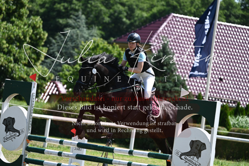 DSC_0703 | Pferde- und Turnierfotografie in Westsachsen. Pferdeportraits, Auftragszeichnungen und intuitive Kunst.