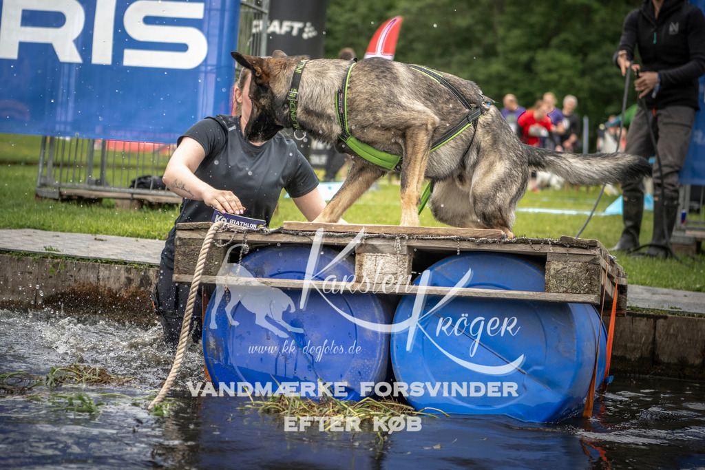 1002_ZZ93767 | kk-dogfotos