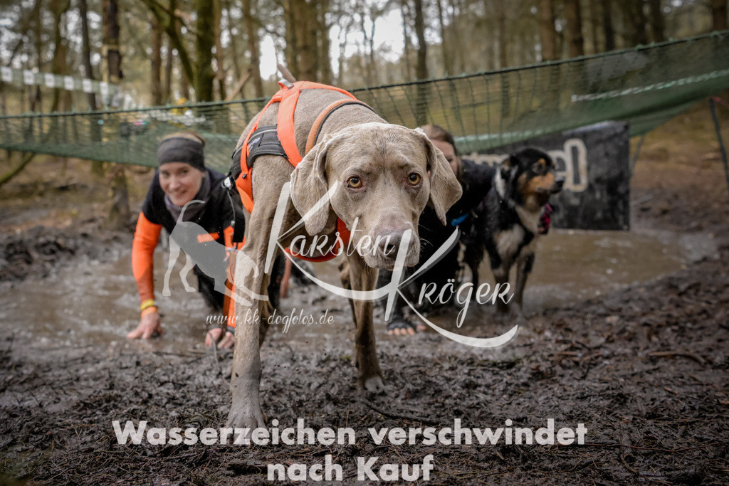 1004_ZZ99263 | kk-dogfotos